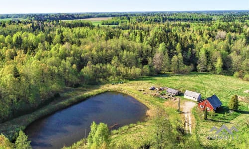 Exclusive Homestead Surrounded by Woods