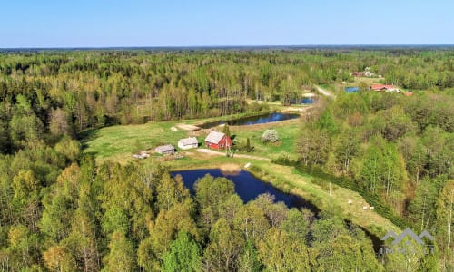 Une ferme exclusive entourée de forêts