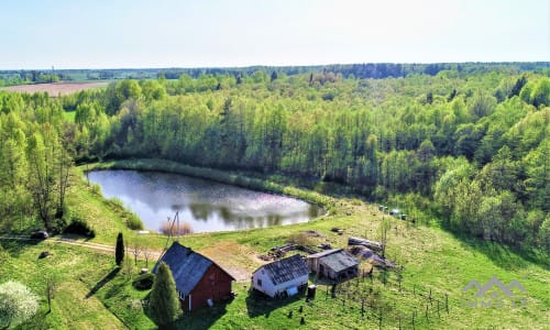 Išskirtinė sodyba miškų apsuptyje