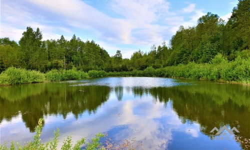 Une ferme exclusive entourée de forêts