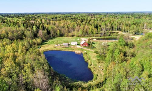 Une ferme exclusive entourée de forêts