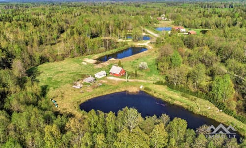 Exclusive Homestead Surrounded by Woods