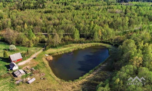 Une ferme exclusive entourée de forêts