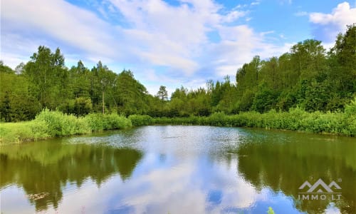 Une ferme exclusive entourée de forêts