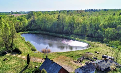 Išskirtinė sodyba miškų apsuptyje