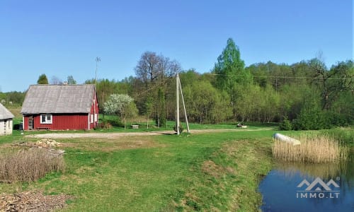 Exclusive Homestead Surrounded by Woods