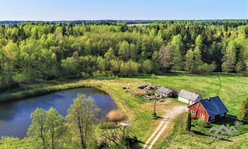 Išskirtinė sodyba miškų apsuptyje