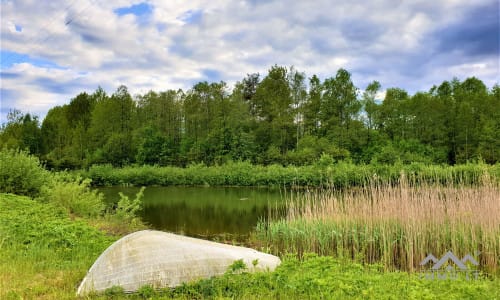 Une ferme exclusive entourée de forêts