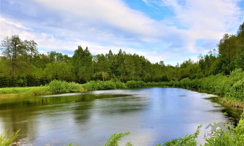 Une ferme exclusive entourée de forêts