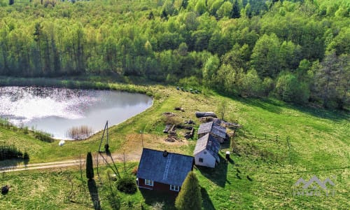 Išskirtinė sodyba miškų apsuptyje