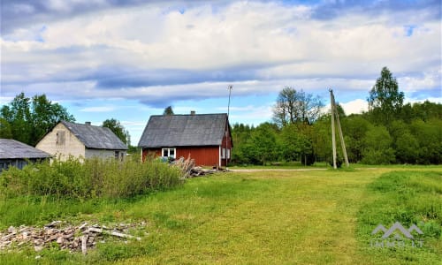 Une ferme exclusive entourée de forêts