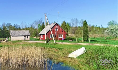 Exclusive Homestead Surrounded by Woods