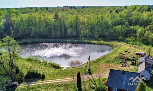 Išskirtinė sodyba miškų apsuptyje