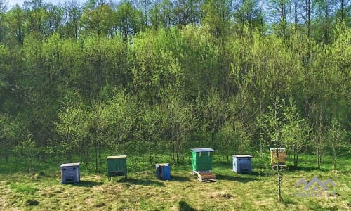 Une ferme exclusive entourée de forêts