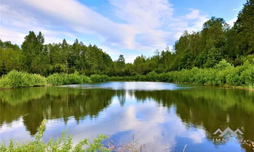 Une ferme exclusive entourée de forêts