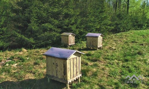 Exclusive Homestead Surrounded by Woods