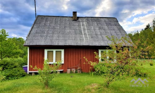 Exclusive Homestead Surrounded by Woods