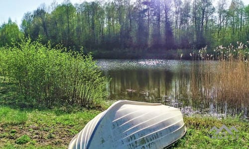 Une ferme exclusive entourée de forêts