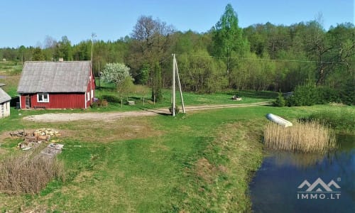 Exclusive Homestead Surrounded by Woods