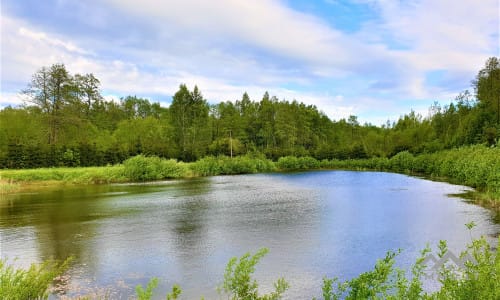 Une ferme exclusive entourée de forêts