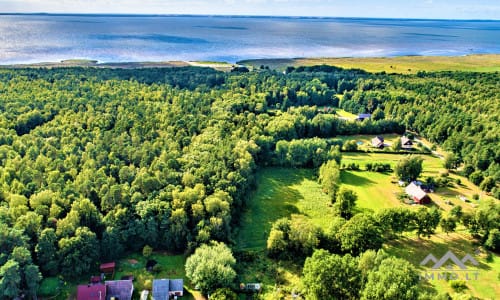 Building Plot Near The Curonian Lagoon