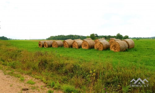 19ème siècle ferme à Samogitie