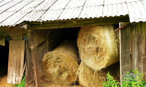 19th Century Homestead in Samogitia