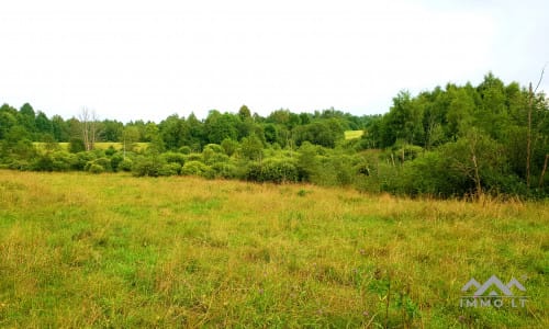 19th Century Homestead in Samogitia