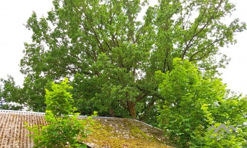 19th Century Homestead in Samogitia