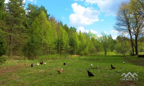 Ostpreußisches Gehöft in Kebeliai