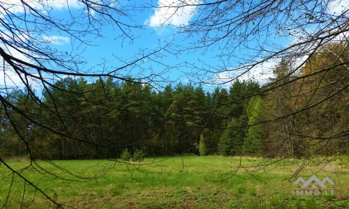 Ostpreußisches Gehöft in Kebeliai