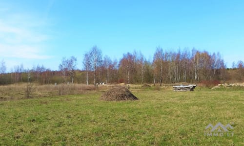 An Excellent Recreational Plot in Palanga