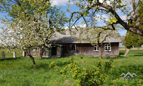 Altes Bauernhof in Pavilkiai