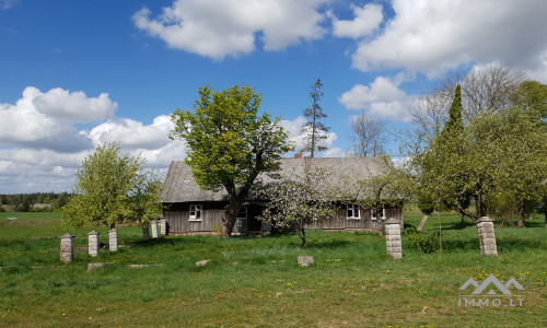 Altes Bauernhof in Pavilkiai