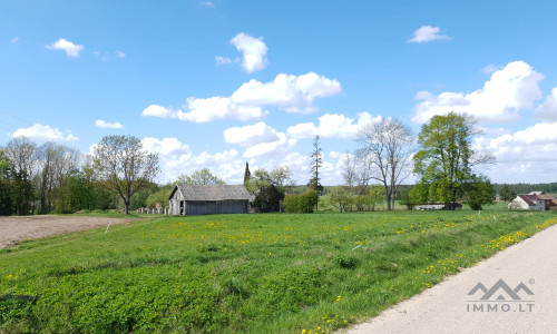 Altes Bauernhof in Pavilkiai