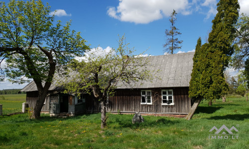 Altes Bauernhof in Pavilkiai