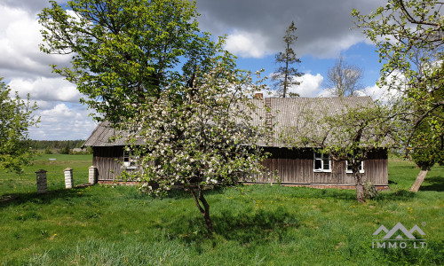 Altes Bauernhof in Pavilkiai