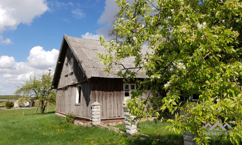 Altes Bauernhof in Pavilkiai