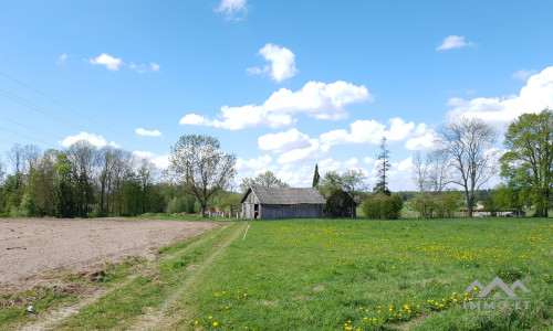 Altes Bauernhof in Pavilkiai