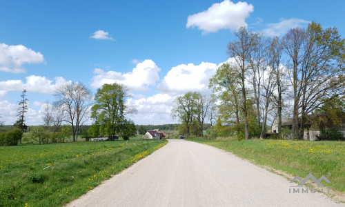 Altes Bauernhof in Pavilkiai