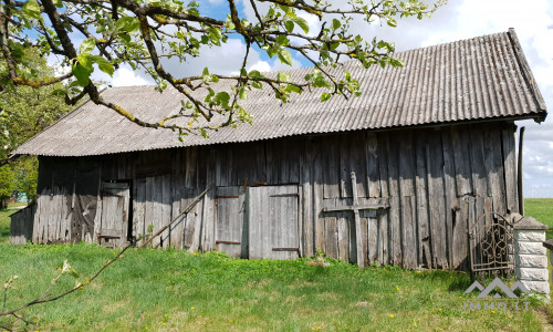 Altes Bauernhof in Pavilkiai