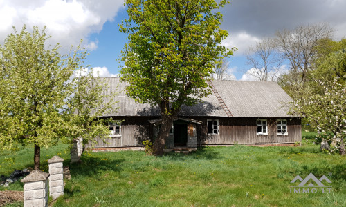 Altes Bauernhof in Pavilkiai