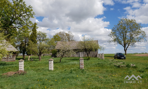 Altes Bauernhof in Pavilkiai