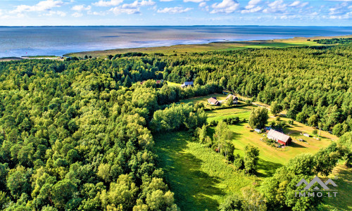 Building Plot by the Curonian Lagoon