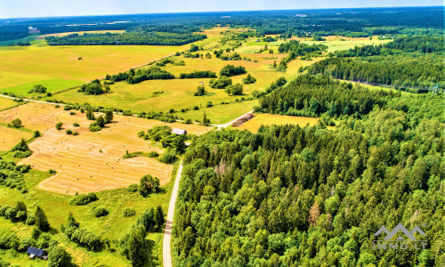 Einzigartiges altes Bauernhaus im Bz. Plungė