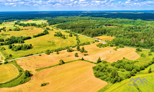 Einzigartiges altes Bauernhaus im Bz. Plungė