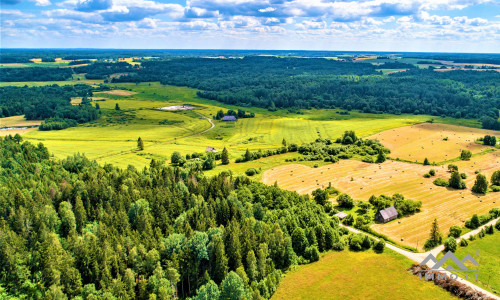 Einzigartiges altes Bauernhaus im Bz. Plungė