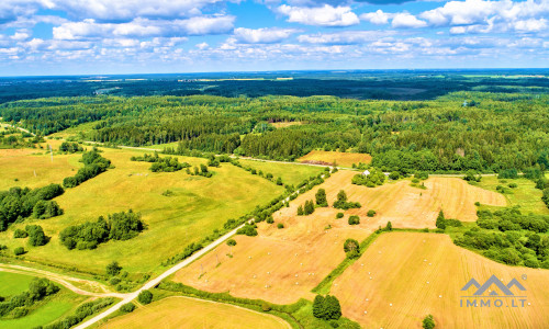 Einzigartiges altes Bauernhaus im Bz. Plungė