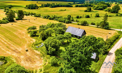 Unique Old Farmhouse in Plungė District