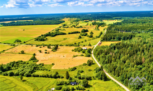 Einzigartiges altes Bauernhaus im Bz. Plungė